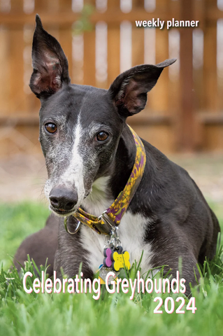 Celebrating Greyhounds - 2024 Desk Calendar
