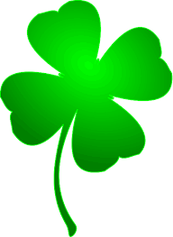 Tick Testing Package for Irish Ex-Racing Greyhound - Ireland dogs - 10/15/2023