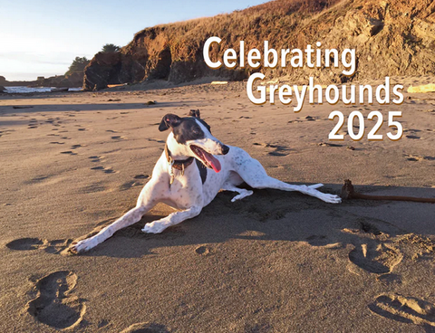 Celebrating Greyhounds - 2025 Wall Calendar