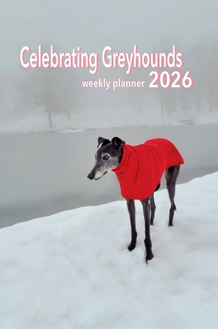 Celebrating Greyhounds - 2026 Desk Calendar