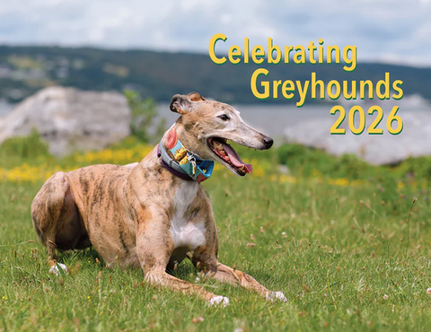 Celebrating Greyhounds - 2026 Wall Calendar