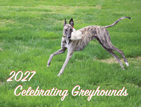 Celebrating Greyhounds - 2027 Wall Calendar