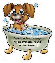Donate a Spa Day package to an available hound at the GPI kennel - Tax Deductible ID# 82-0434711