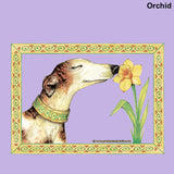 Adult Hooded Sweatshirt - Design: Daffodil - Adopt A Greyhound