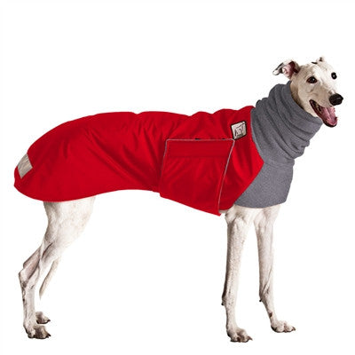 how to measure greyhound for coat